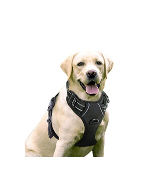 Adjustable Outdoor Pet Vest 2